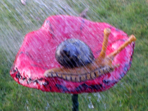 Roland Menten - De regenroeper (Composite)